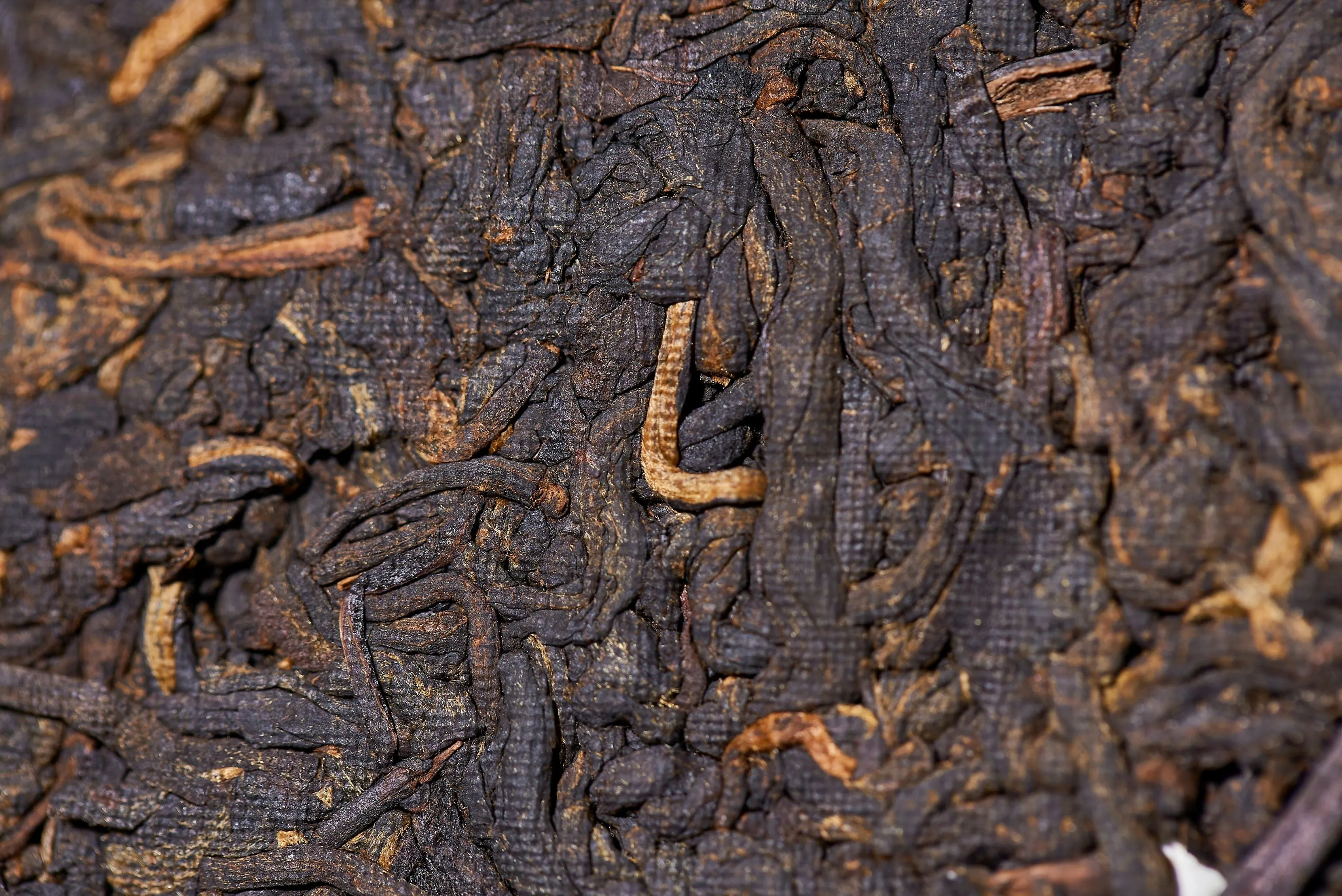 2024 Yunnan Sourcing "Cozy" Certified Organic Ripe Pu-erh Tea