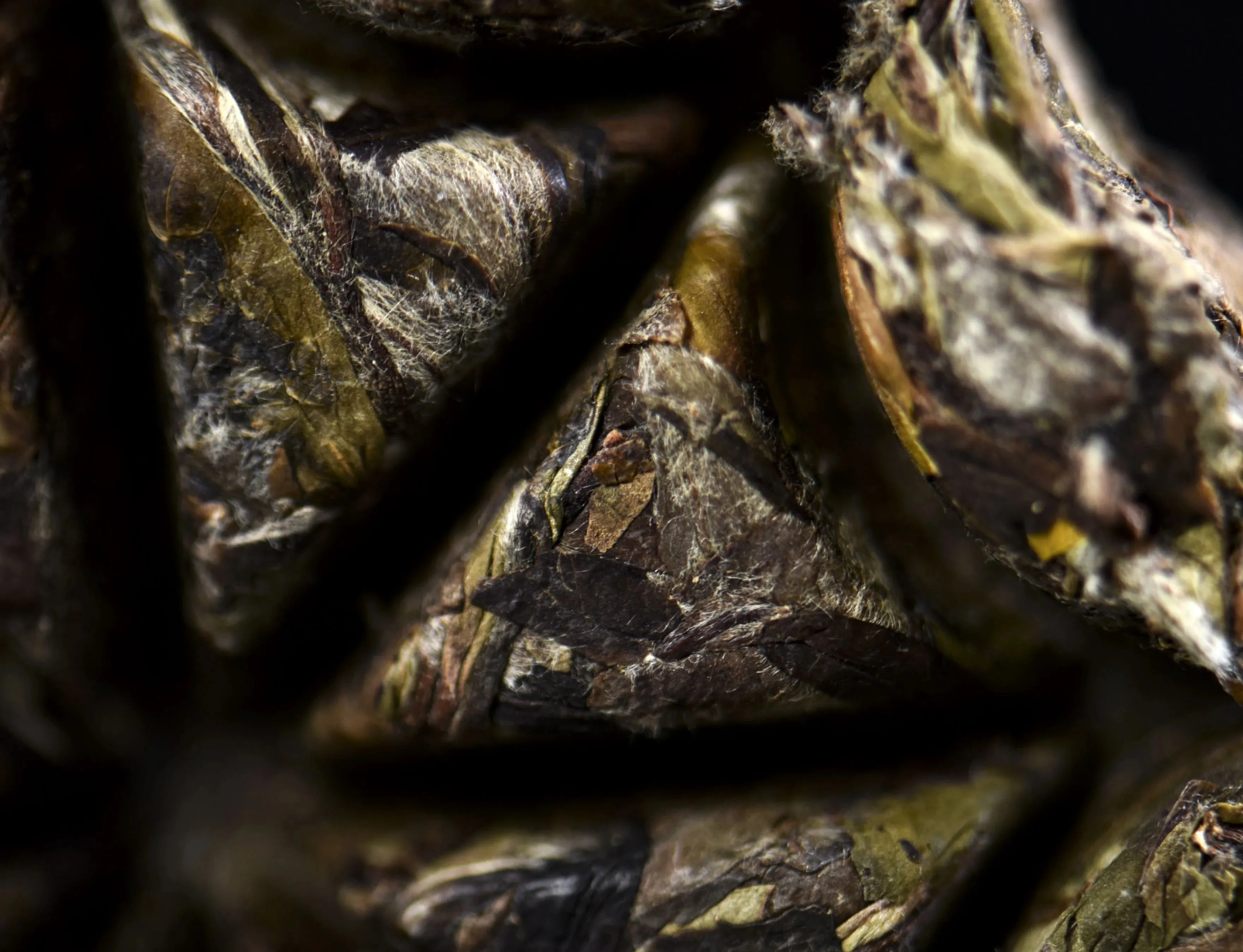 Bai Mu Dan "Waffle Cake" Fuding White Tea