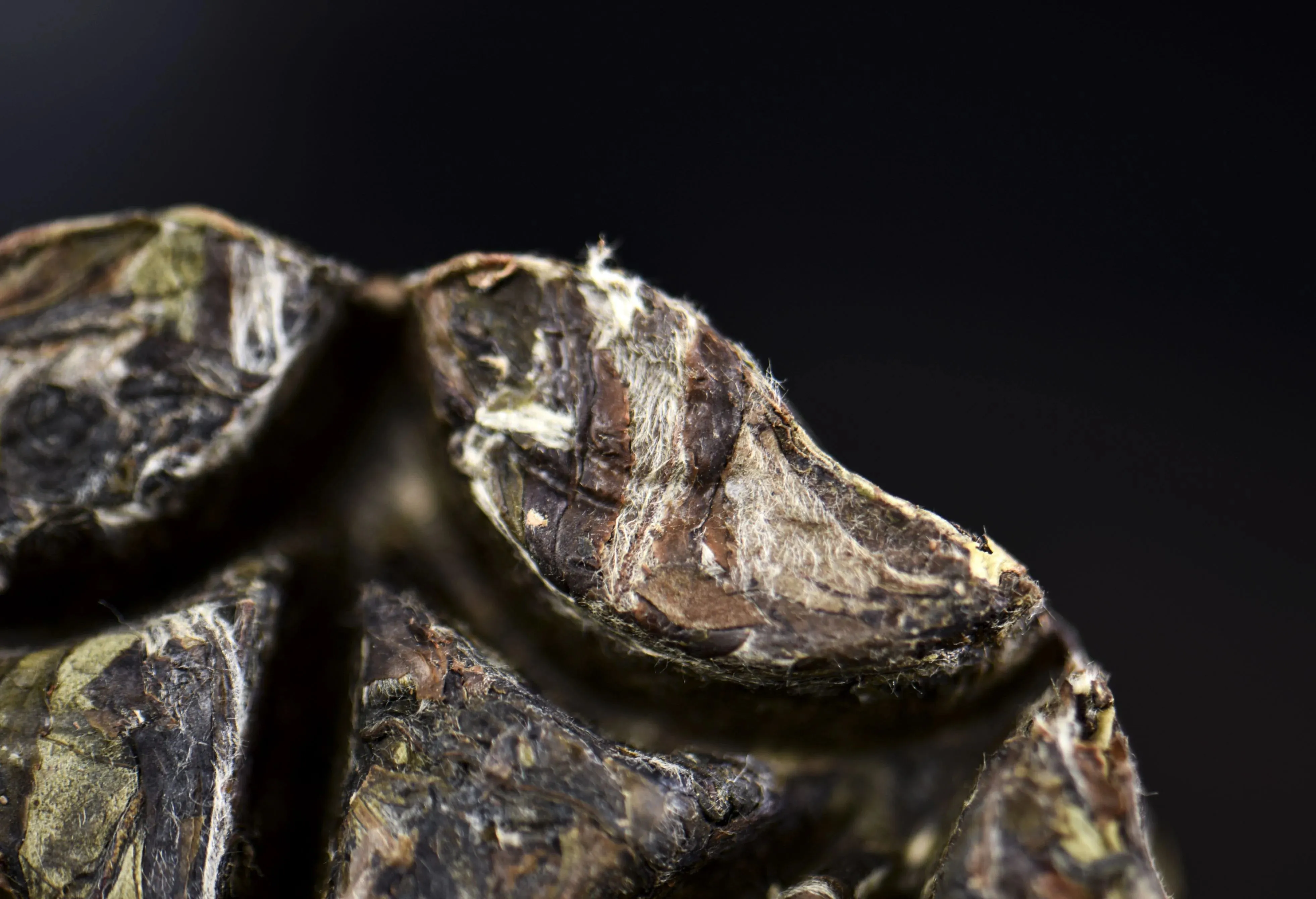 Bai Mu Dan "Waffle Cake" Fuding White Tea