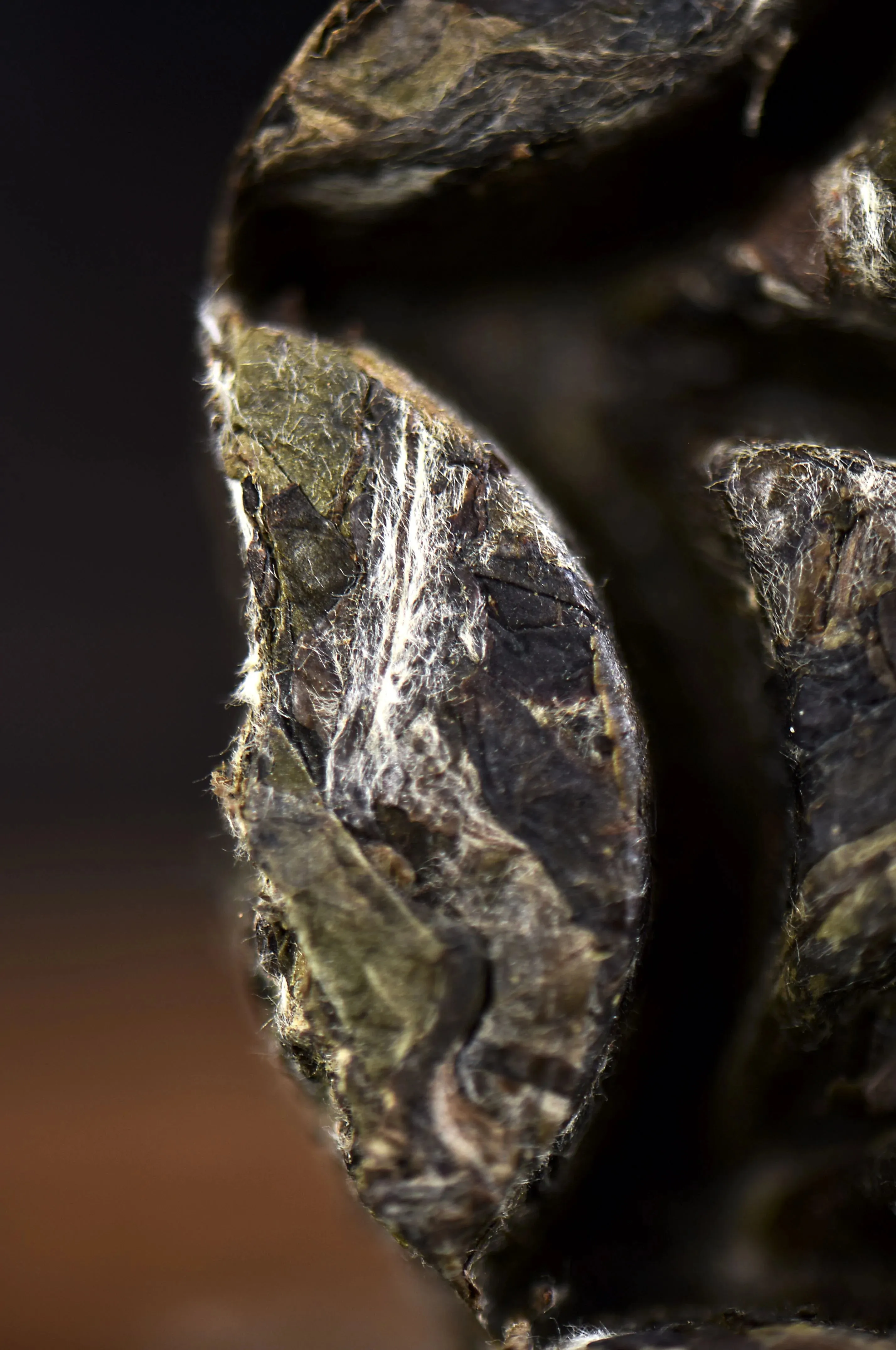 Bai Mu Dan "Waffle Cake" Fuding White Tea