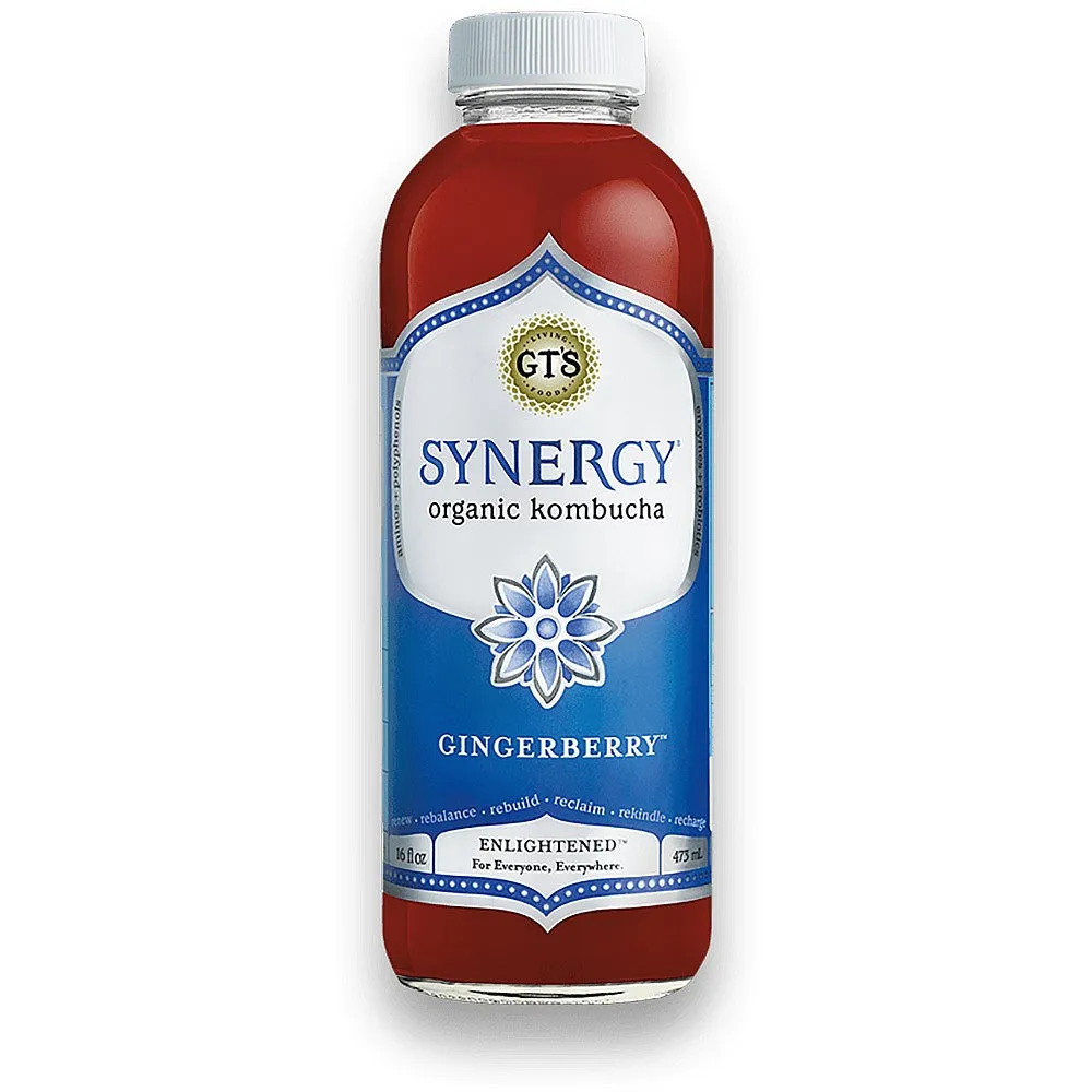 GT's Synergy Gingerberry Kombucha