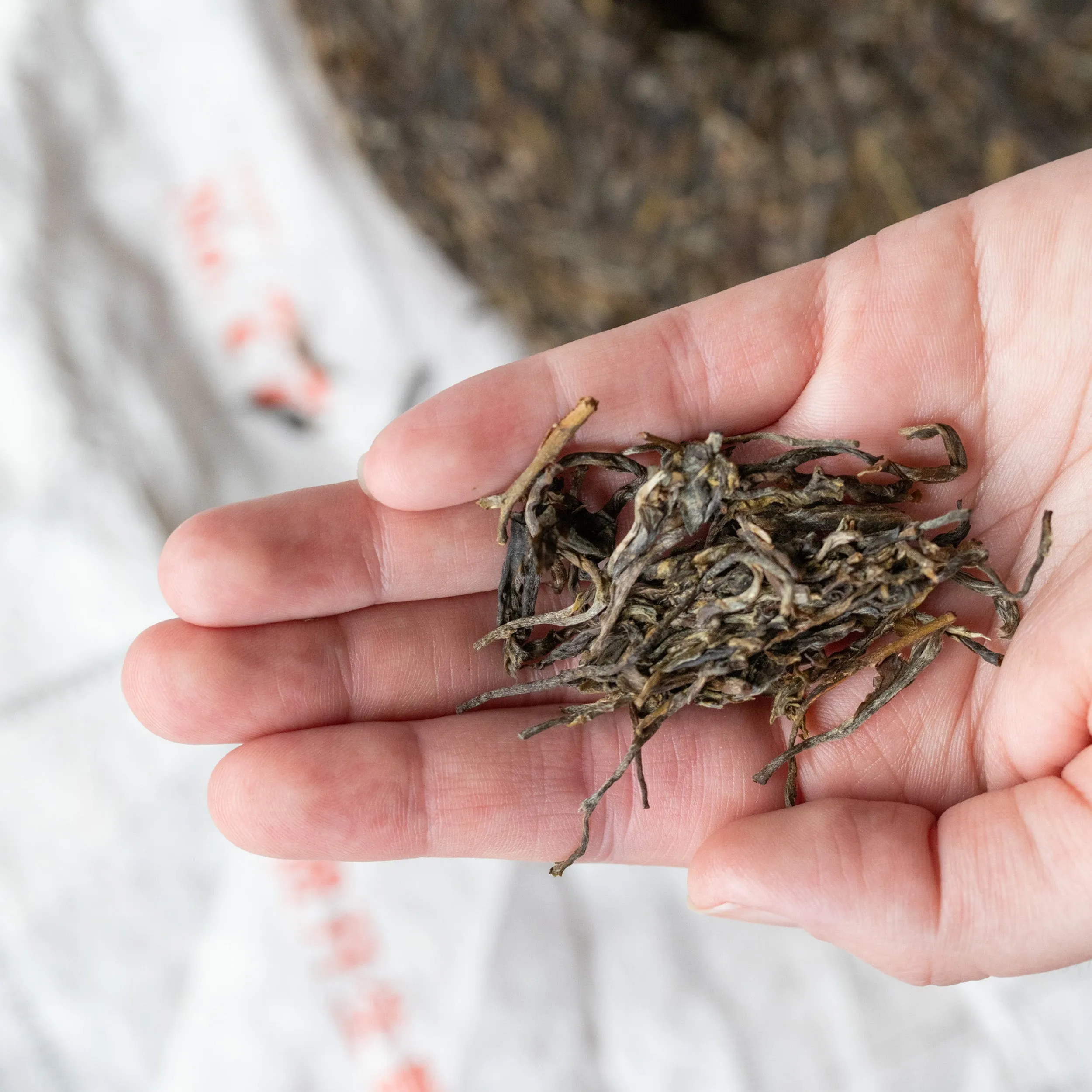 Hekai Sheng (Raw) Pu-erh Cake