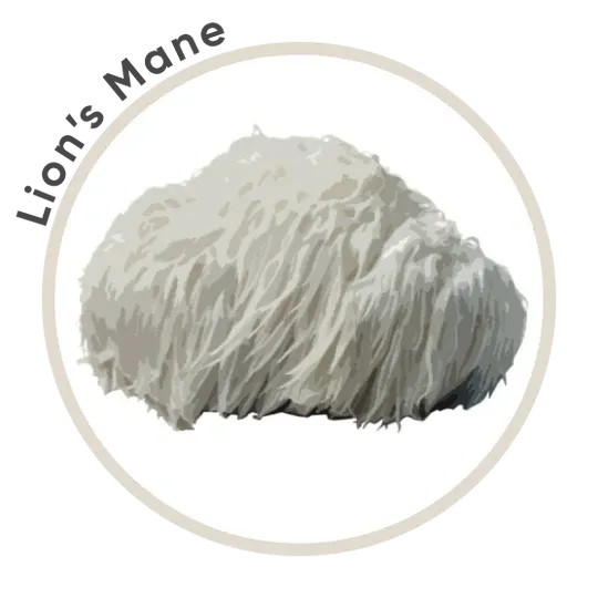 Lions Mane Matcha Green Tea 60g - La Republica