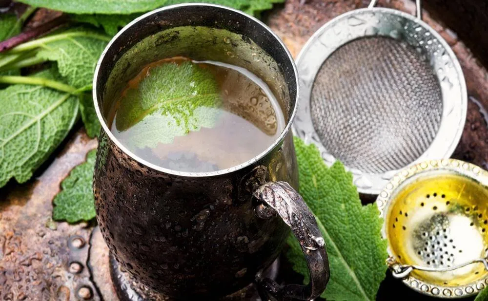 Organic Mint White Tea