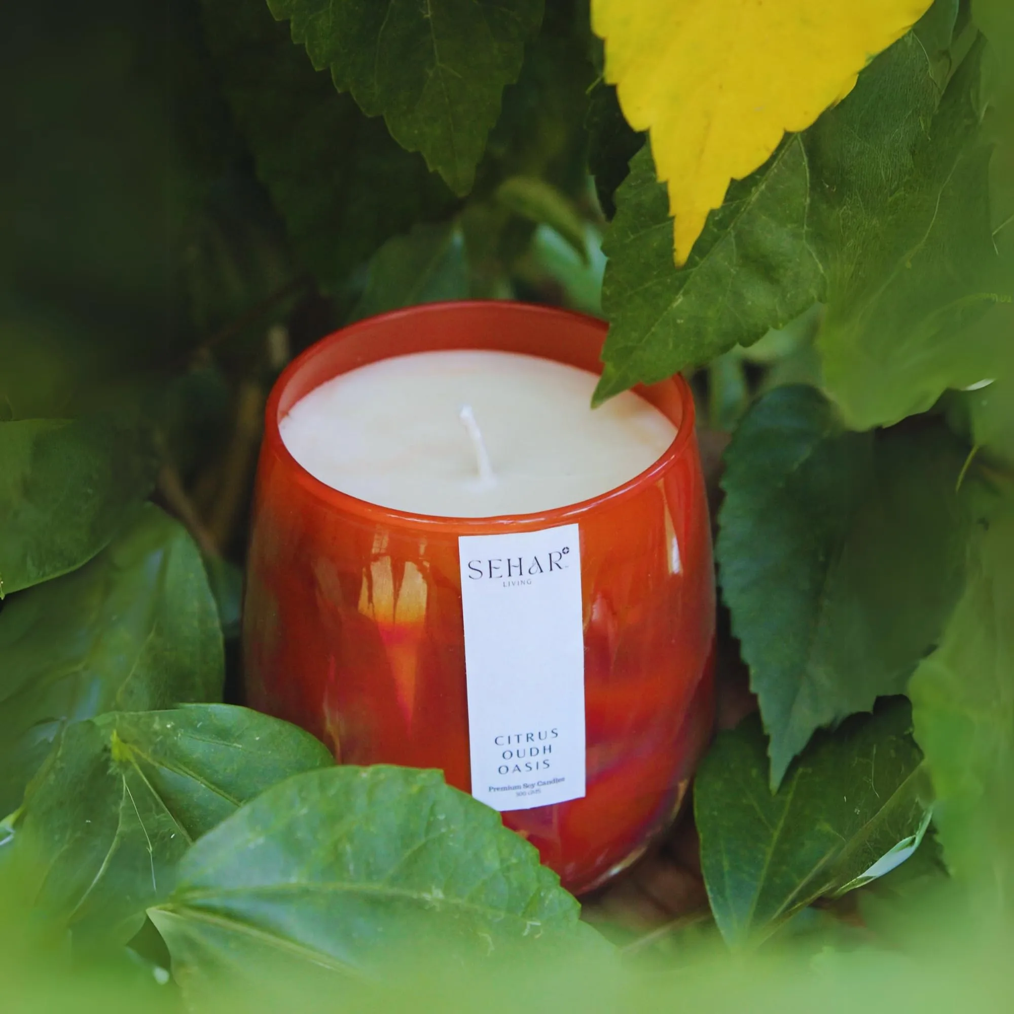 Sehar Living Citrus Oudh Oasis Luxury Soy Candle 50  Hr Burn Time Uplifting Aromatherapy and Eco-Friendly Gift