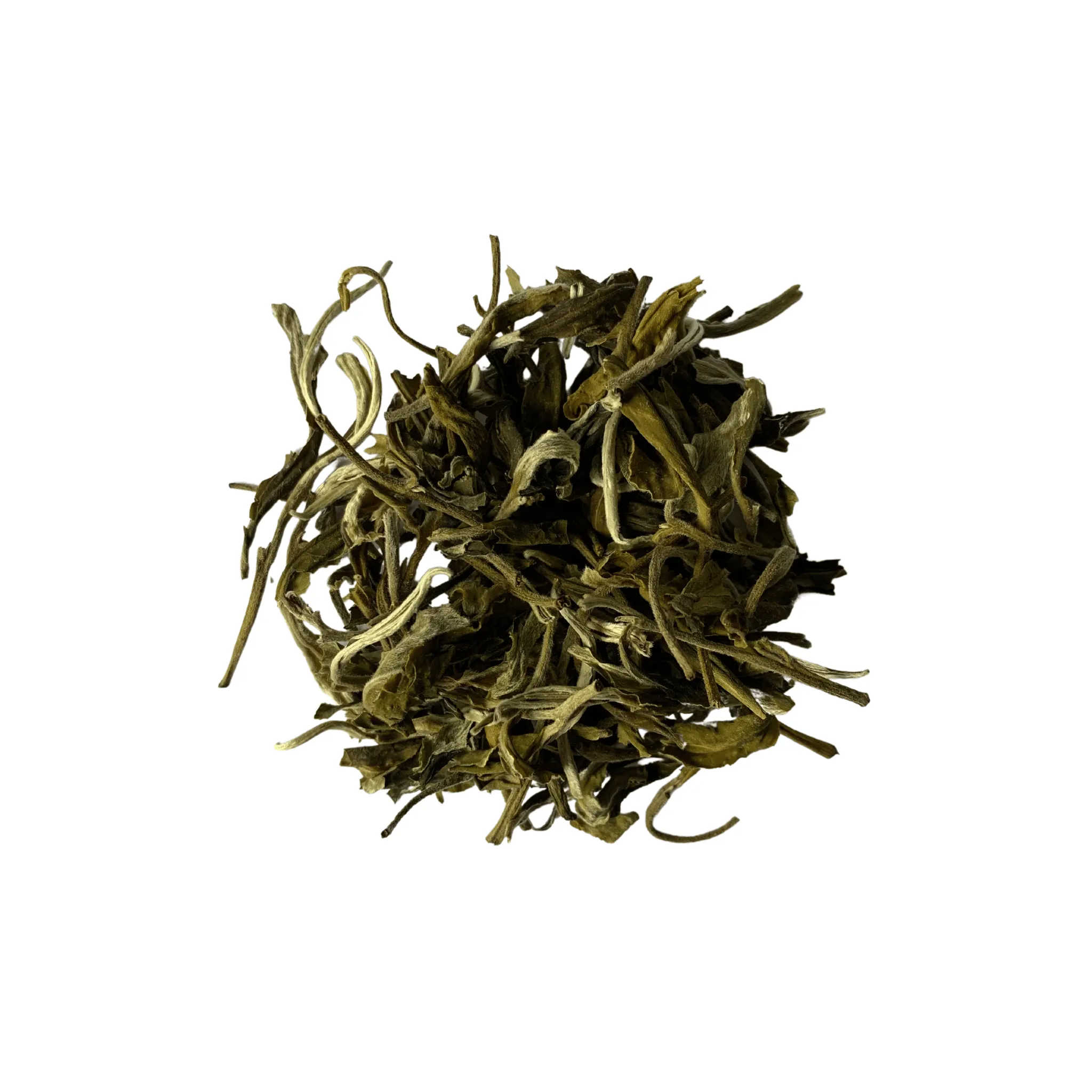 Snow Bud White Tea - Loose leaf in Storage Jar