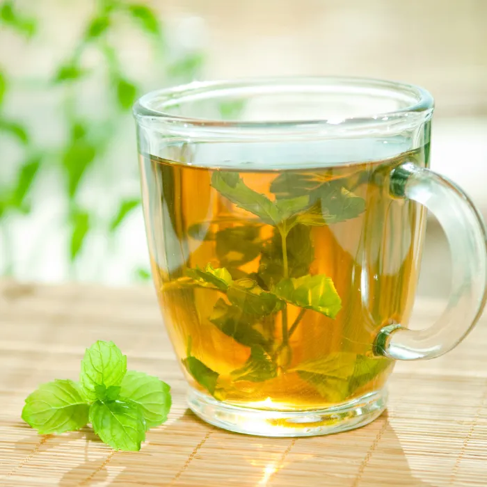 Spearmint Tea Organic