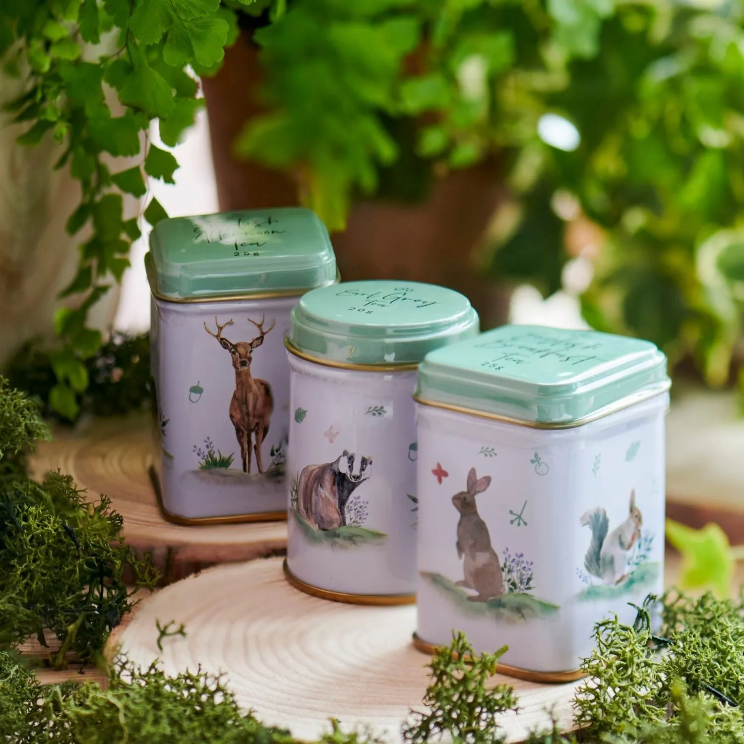 Woodland Friends Mini Tea Tin Gift Pack